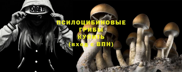 дживик Балахна