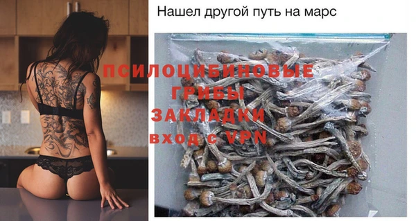 дживик Балахна